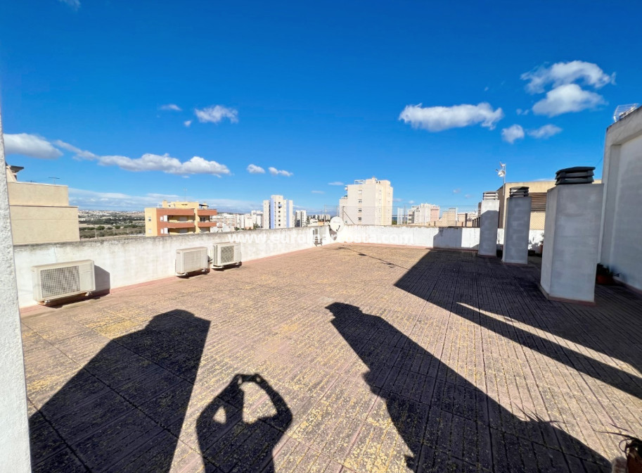 Venta - Apartamento / piso - Guardamar del Segura