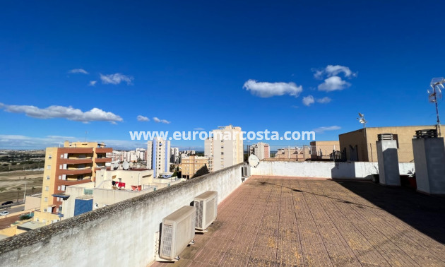 Venta - Apartamento / piso - Guardamar del Segura