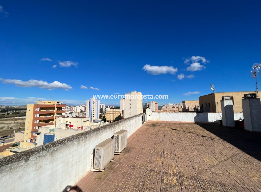 Venta - Apartamento / piso - Guardamar del Segura
