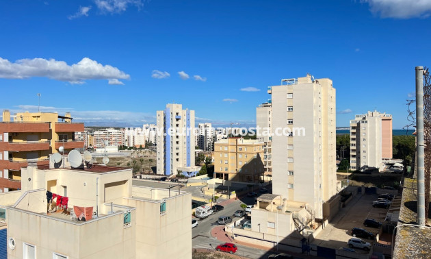 Venta - Apartamento / piso - Guardamar del Segura