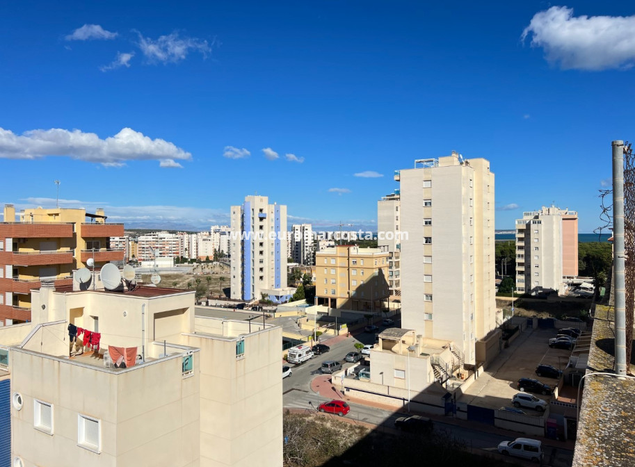 Venta - Apartamento / piso - Guardamar del Segura