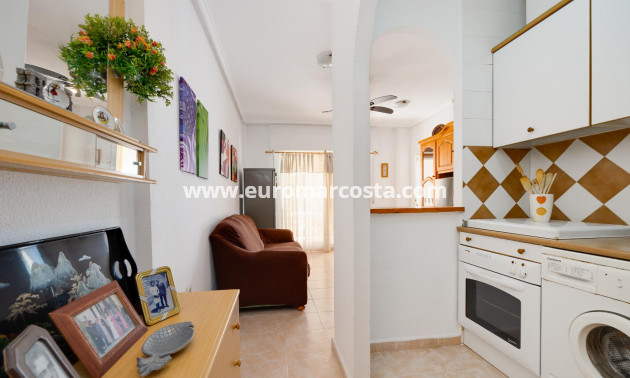 Venta - Bungalow - Torrevieja - TORREVIEJA