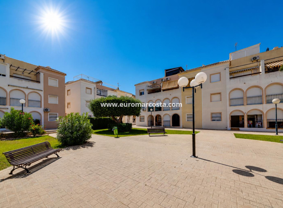 Venta - Bungalow - Torrevieja - TORREVIEJA