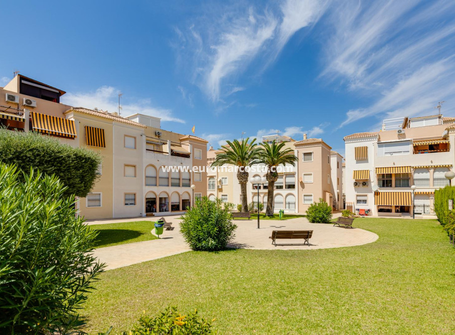 Venta - Bungalow - Torrevieja - TORREVIEJA