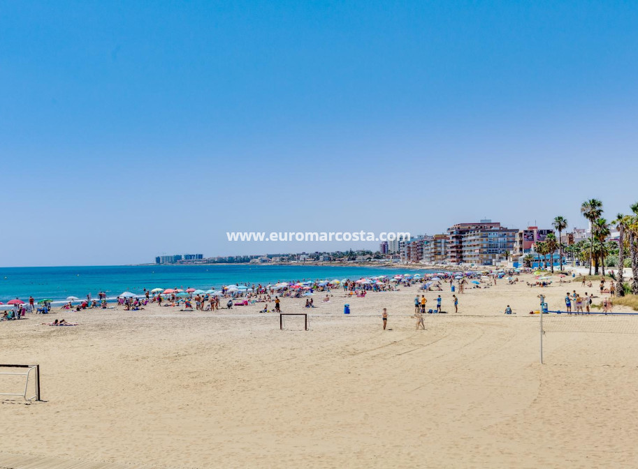 Venta - Bungalow - Torrevieja - TORREVIEJA