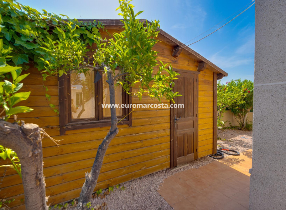 Venta - Chalet - San Fulgencio