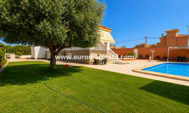 Venta - Villa - Torrevieja - TORREVIEJA