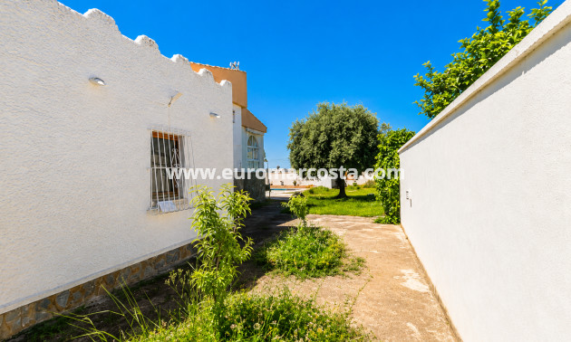 Venta - Villa - Torrevieja - TORREVIEJA