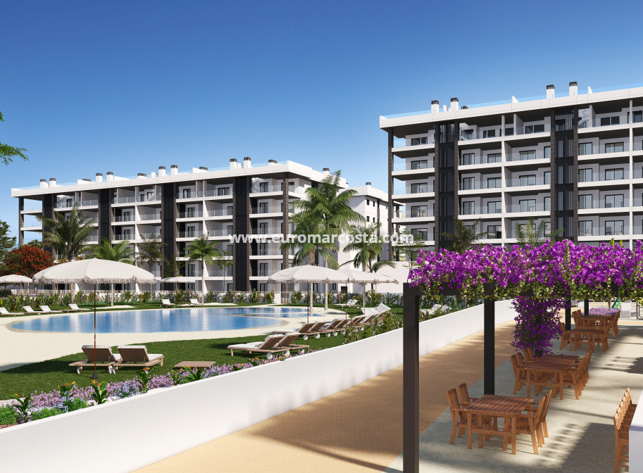 New Build - Penthouse - Torrevieja - TORREVIEJA