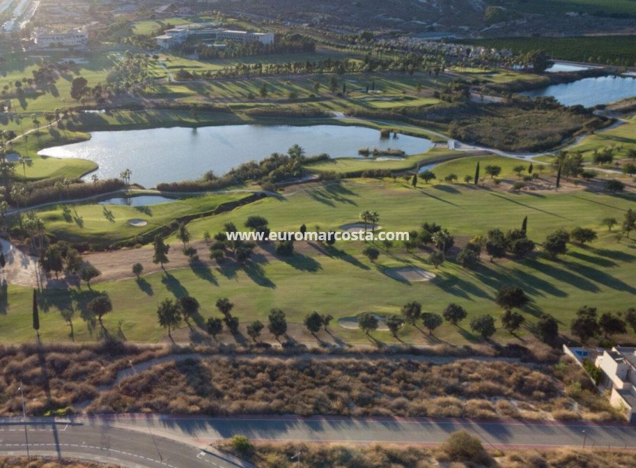 New Build - Villa - Algorfa