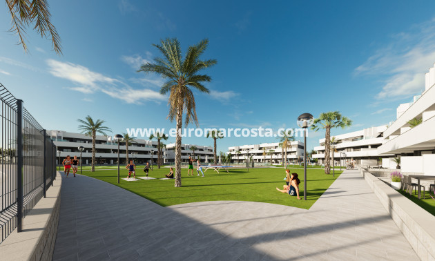 New Build - ground-floor - Guardamar del Segura