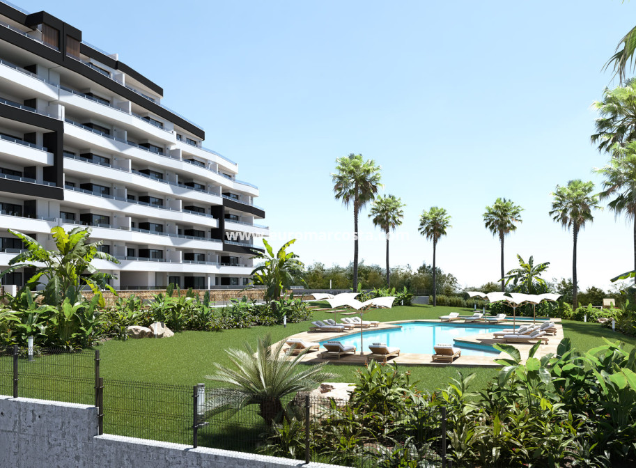 New Build - ground-floor - San Miguel de Salinas
