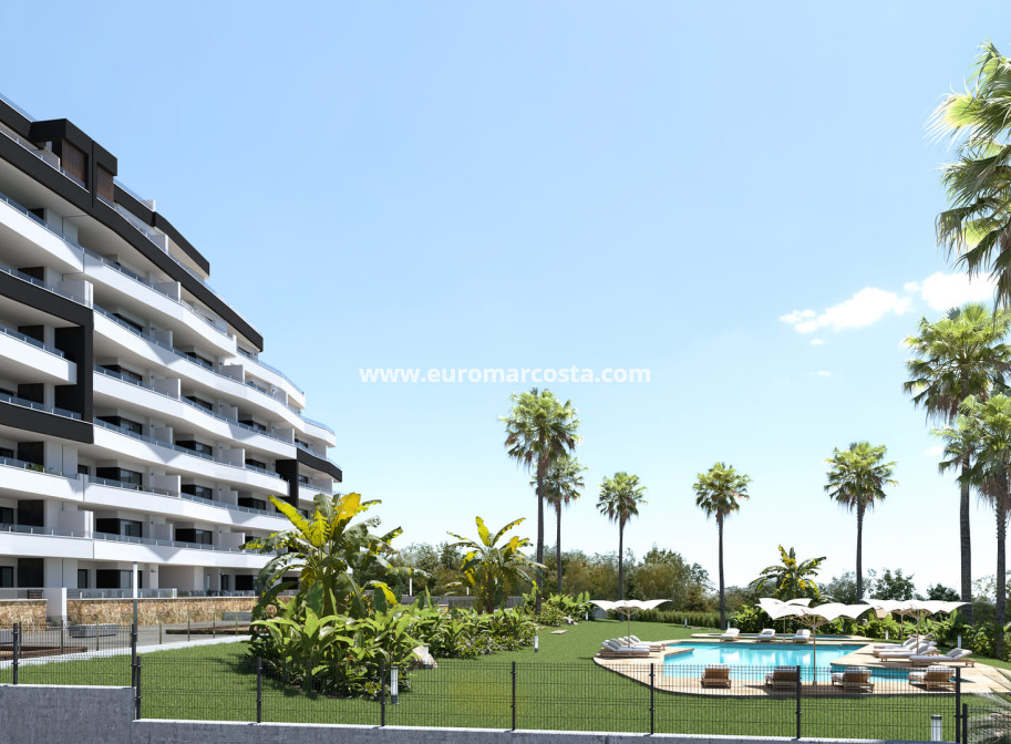 New Build - Apartment / flat - San Miguel de Salinas