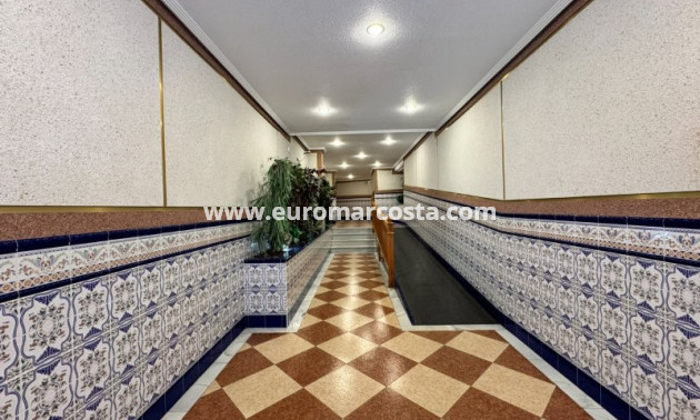 Sale - Apartment / flat - La Mata