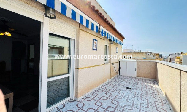 Sale - Penthouse - La Mata