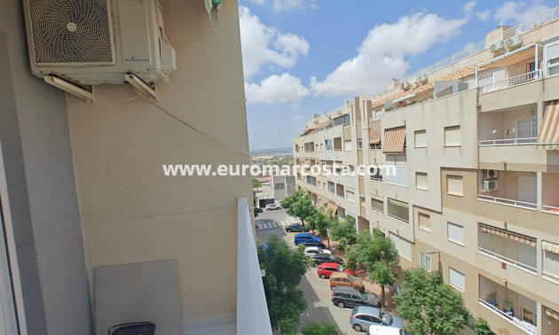 Venta - Apartamento / piso - Torrevieja - TORREVIEJA