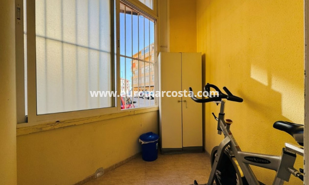 Venta - Apartamento / piso - La Mata