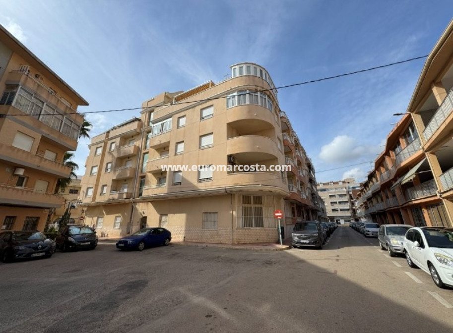 Venta - Apartamento / piso - La Mata