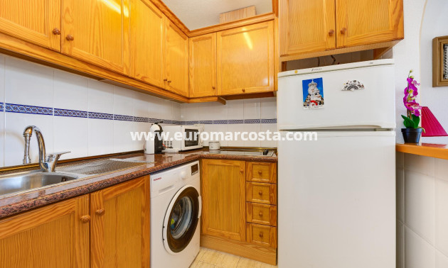 Sale - Penthouse - Torrevieja - TORREVIEJA