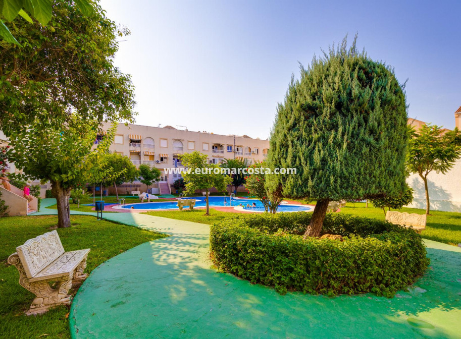Sale - Penthouse - Torrevieja - TORREVIEJA