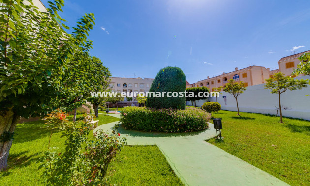 Sale - Penthouse - Torrevieja - TORREVIEJA
