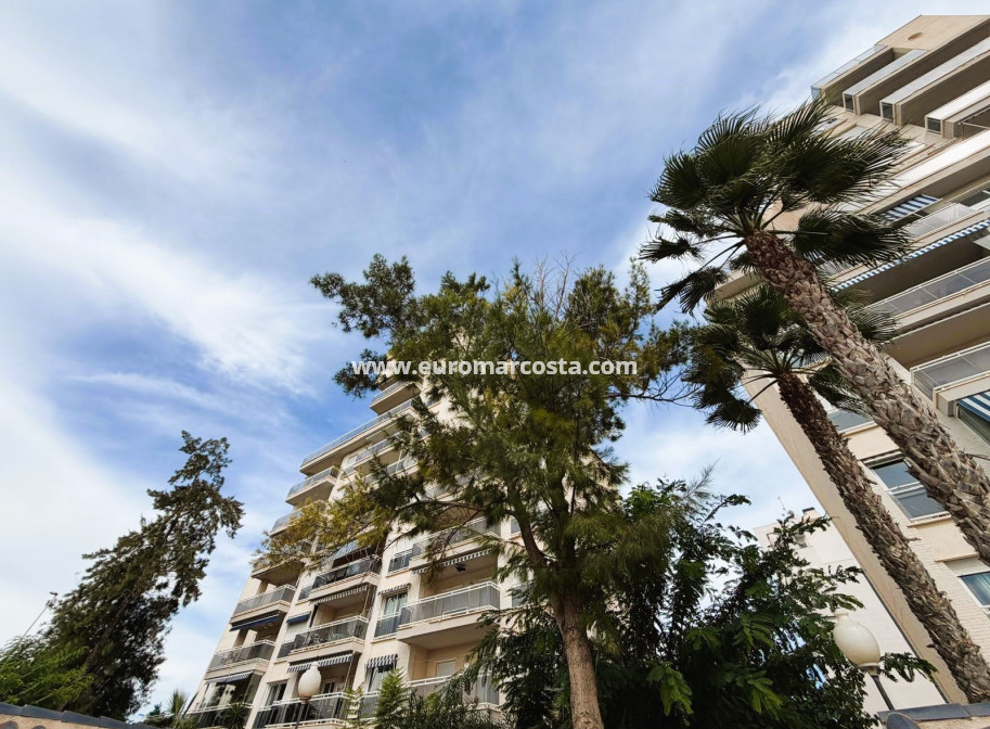 Venta - Apartamento / piso - Guardamar del Segura