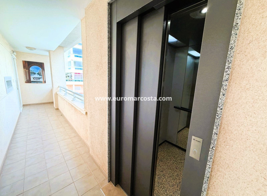 Venta - Apartamento / piso - Guardamar del Segura
