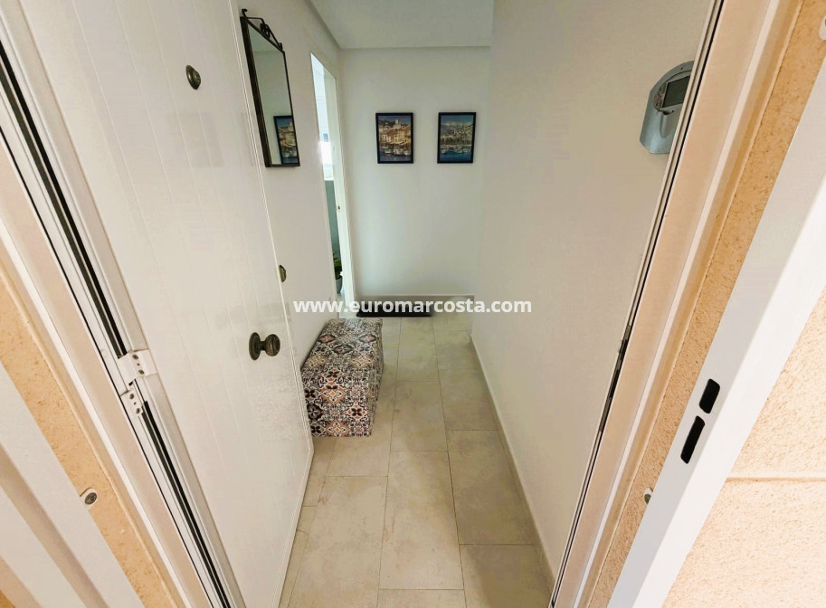 Venta - Apartamento / piso - Guardamar del Segura