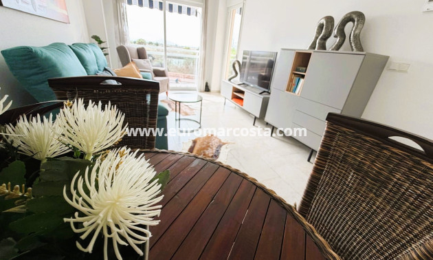 Venta - Apartamento / piso - Guardamar del Segura