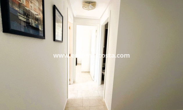 Venta - Apartamento / piso - Guardamar del Segura