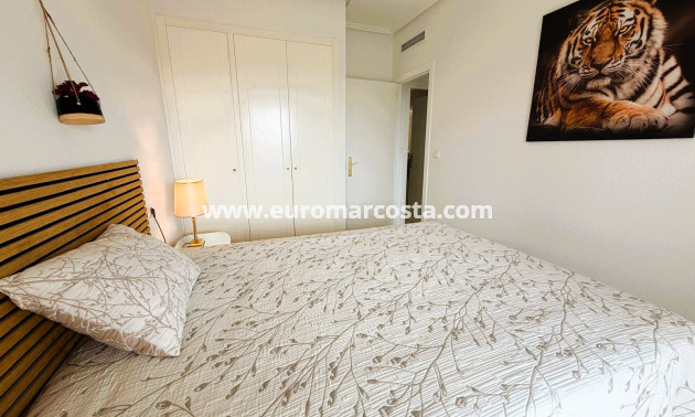 Venta - Apartamento / piso - Guardamar del Segura