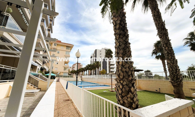 Venta - Apartamento / piso - Guardamar del Segura