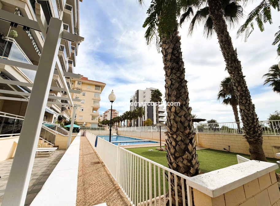 Venta - Apartamento / piso - Guardamar del Segura
