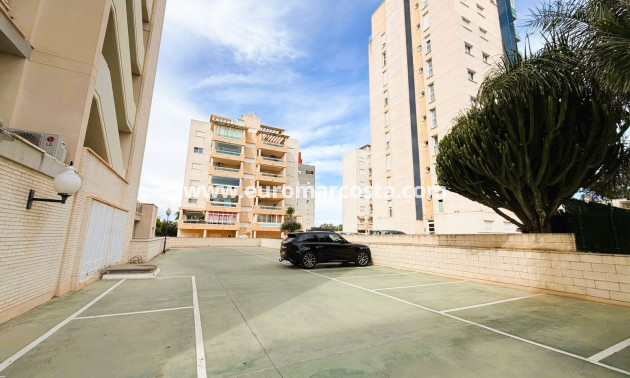 Venta - Apartamento / piso - Guardamar del Segura