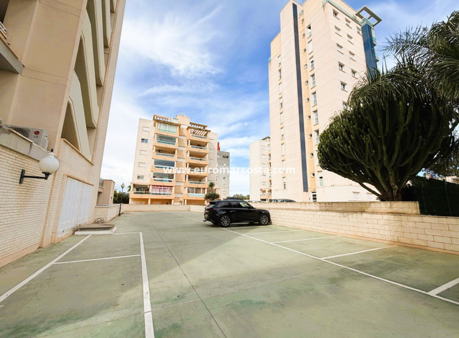 Venta - Apartamento / piso - Guardamar del Segura