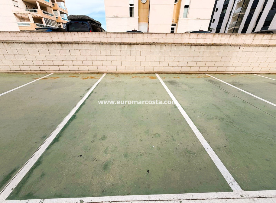 Venta - Apartamento / piso - Guardamar del Segura