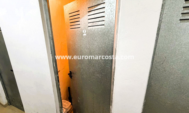 Venta - Apartamento / piso - Guardamar del Segura