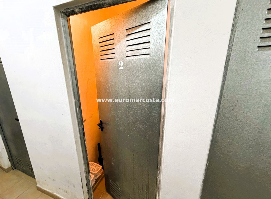 Venta - Apartamento / piso - Guardamar del Segura