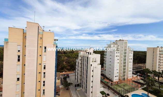 Venta - Apartamento / piso - Guardamar del Segura