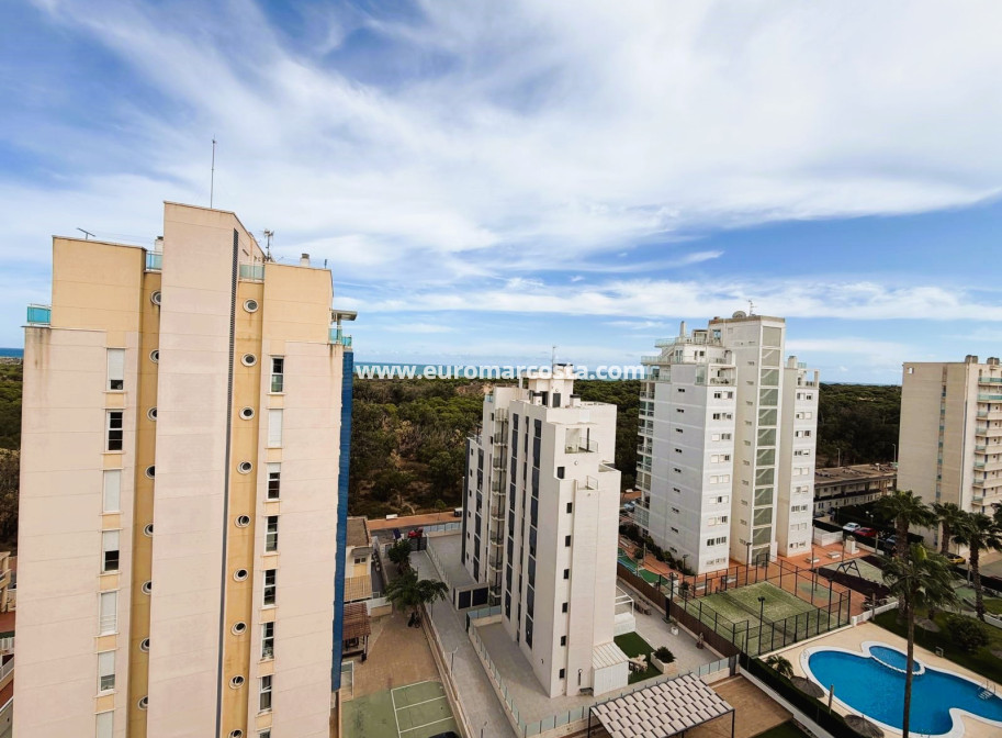 Venta - Apartamento / piso - Guardamar del Segura