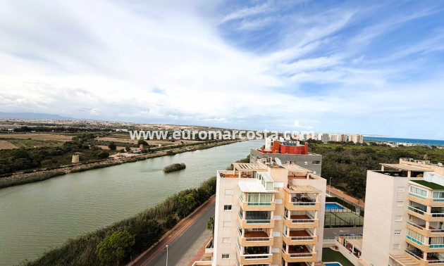 Venta - Apartamento / piso - Guardamar del Segura