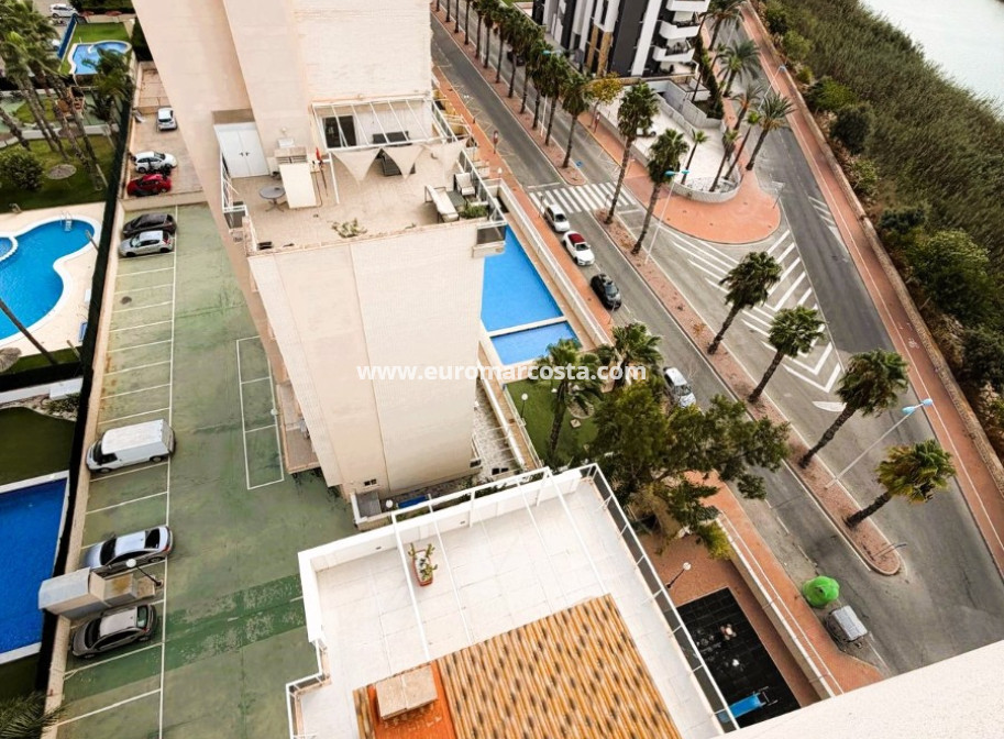 Venta - Apartamento / piso - Guardamar del Segura