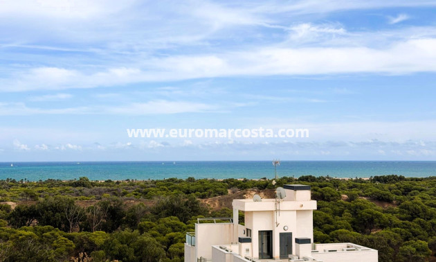 Venta - Apartamento / piso - Guardamar del Segura