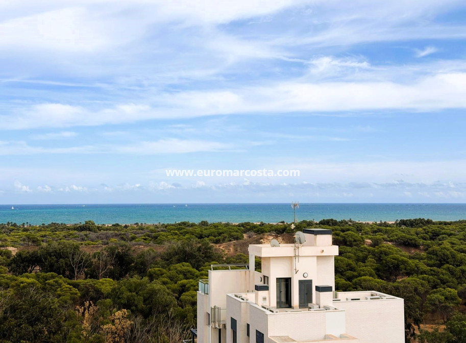 Venta - Apartamento / piso - Guardamar del Segura