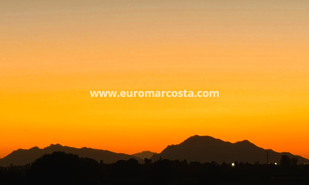 Venta - Apartamento / piso - Guardamar del Segura