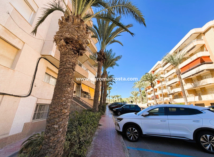 Venta - Apartamento / piso - Guardamar del Segura
