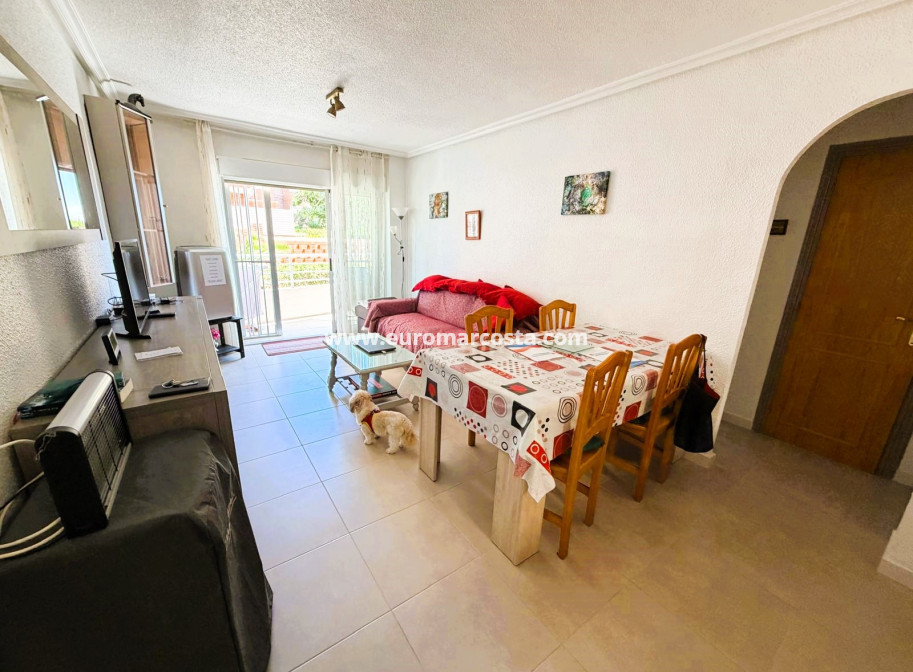Venta - Apartamento / piso - Guardamar del Segura
