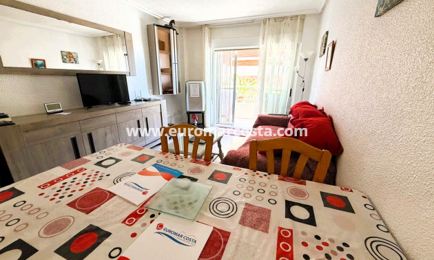Venta - Apartamento / piso - Guardamar del Segura