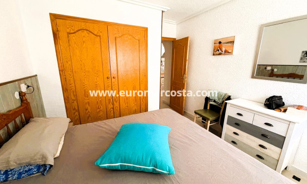 Venta - Apartamento / piso - Guardamar del Segura