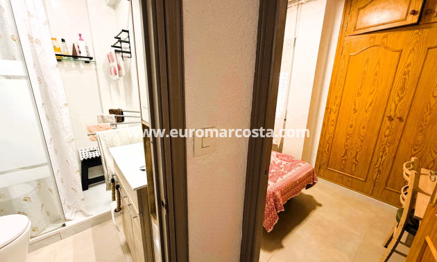 Venta - Apartamento / piso - Guardamar del Segura